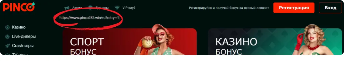 Pinco online
