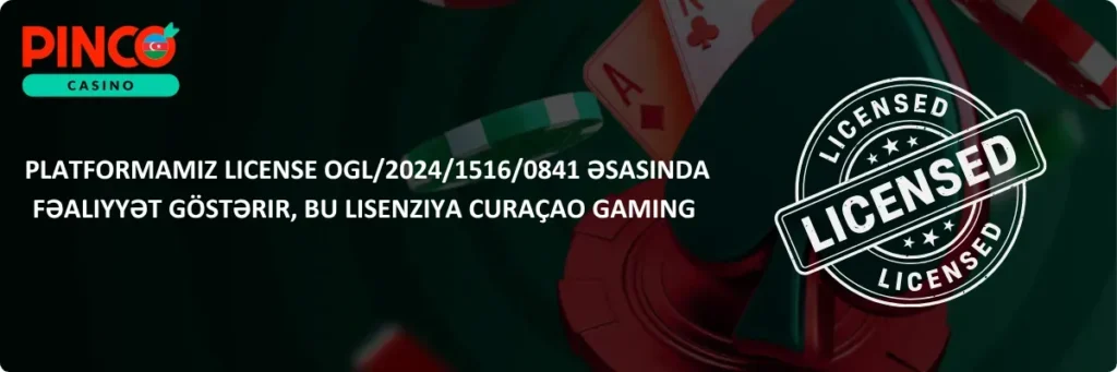 Lisenziya Pinco 